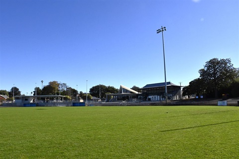 melville-1.jpg